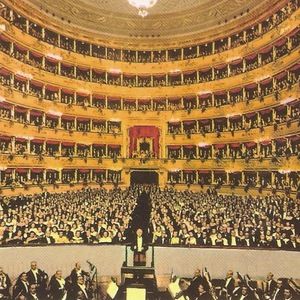 Meet your Posher, Jane